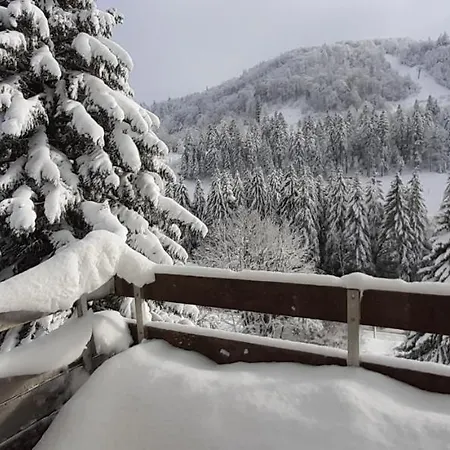 Les Oursons Du Hohneck La Bresse
