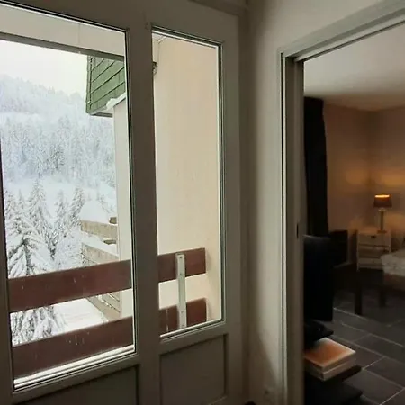 Apartment Les Oursons Du Hohneck La Bresse